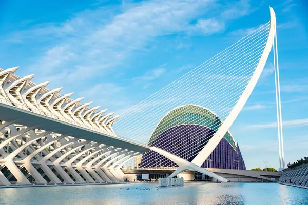 The City of Arts and Sciences in Valencia
